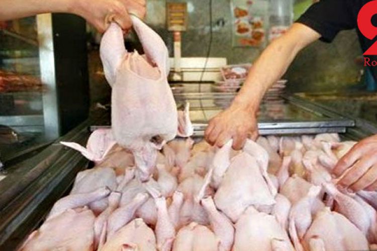  گران شدن مرغ، یک روز بعد از وعده ارزانی