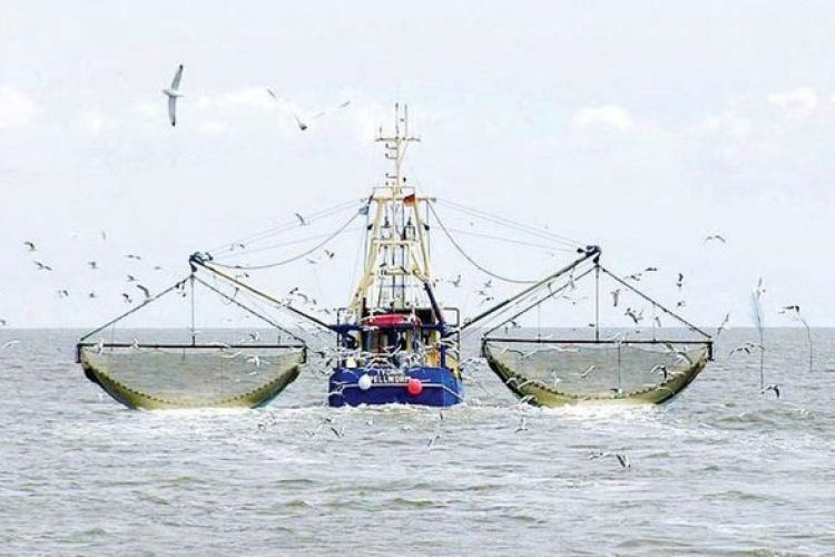 تکذیب ورود کشتی‌های ماهیگیری چینی به قشم