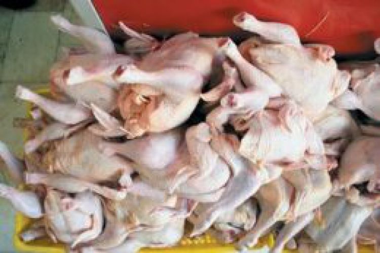 قیمت مرغ در آستانه 6 رقمی شدن/ قیمت عجیب سینه و ران مرغ در بازار