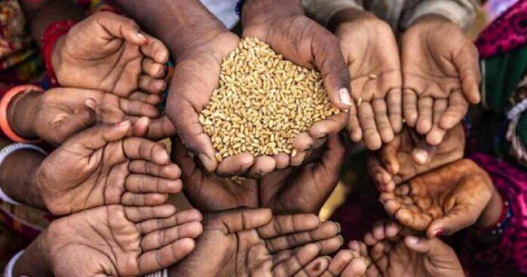   بحران جهانی تأمین گندم/دولت همه گندم کشاورزان را می خرد