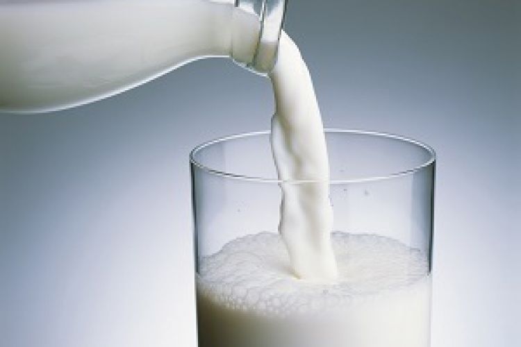 کارخانه های لبنی خواستارتوقف خرید توافقی شیرخام