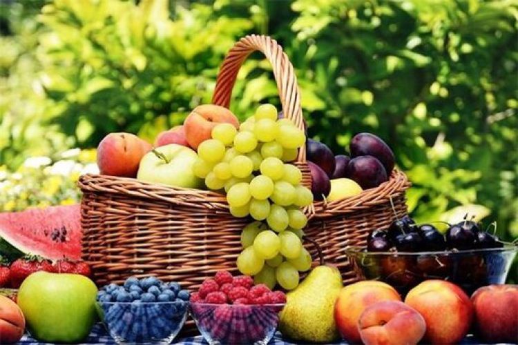 جدیدترین قیمت انواع میوه‌ در میادین تهران اعلام شد