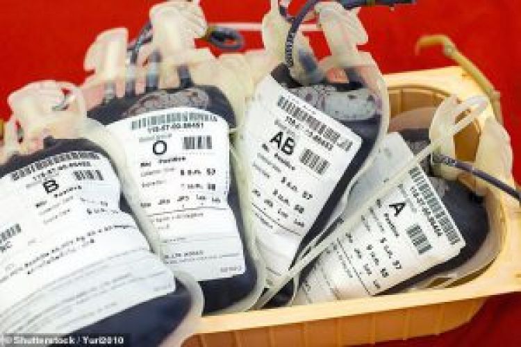 رشد 12 درصدی اهدای خون در کشور/تهران در رتبه نخست