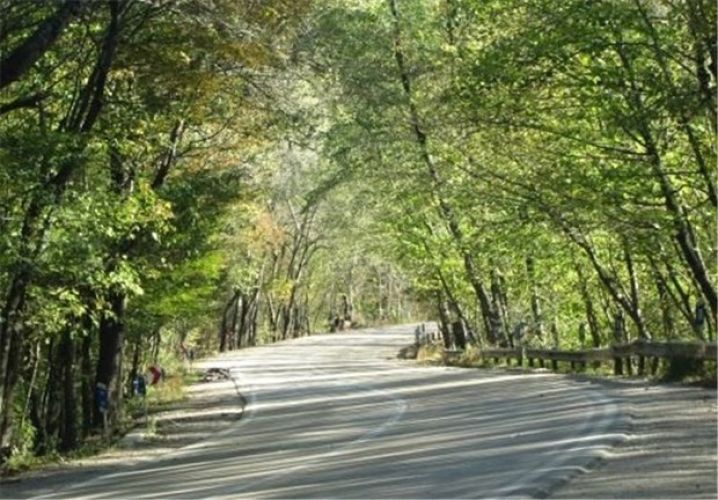  تنها 30 محیطبان در مقابل جنگل 92 هزار هکتاری
