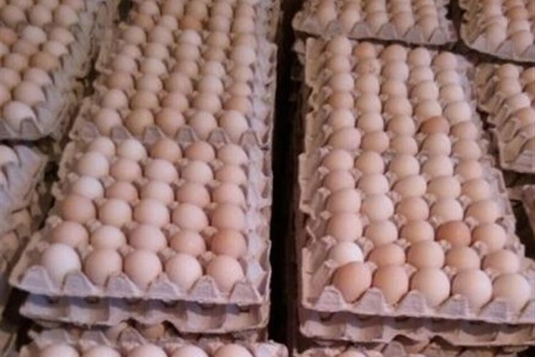 ستاد تنظیم بازار نرخ مصوب تخم مرغ را اعلام کرد