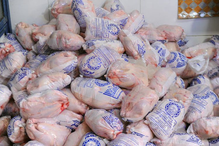 گمرک: وزارت صمت ممنوعیت صادرات مرغ را 4 ماه بعد اعلام کرد!