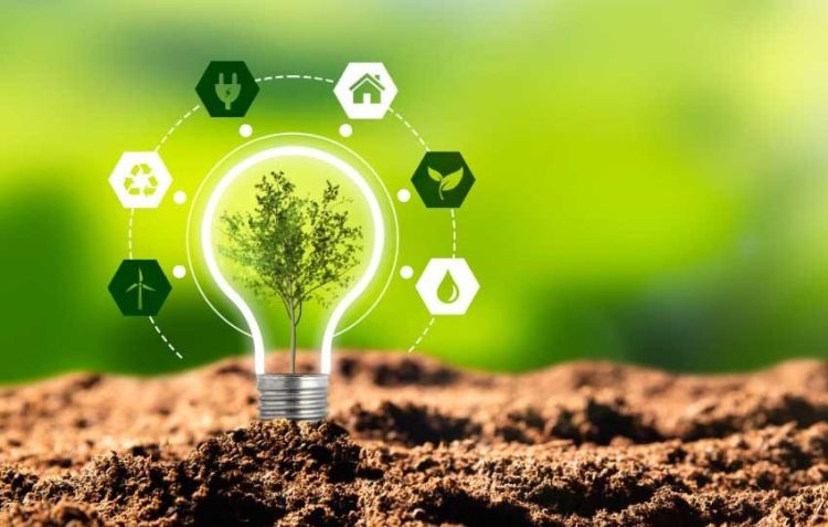 شرکت‌های برق باید الگوی مدیریت سبز و مصرف بهینه منابع باشند