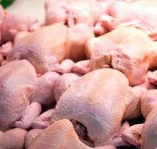 صادرات 4000 تن مرغ در زمان ممنوعیت!