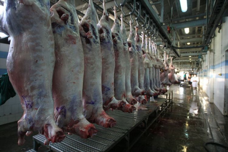 عرضه روزانه 150 تن گوشت قرمز وارداتی در بازار