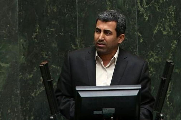   پورابراهیمی: دولت و مجلس در حذف ارز 4200 هم نظر هستند