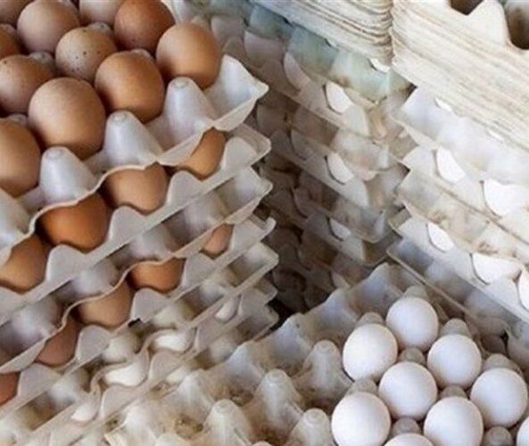 قیمت تخم‌مرغ شانه‌ای 70 تا 75 هزار تومان است/ انتشار قیمت غیرواقعی در برخی رسانه‌ها  