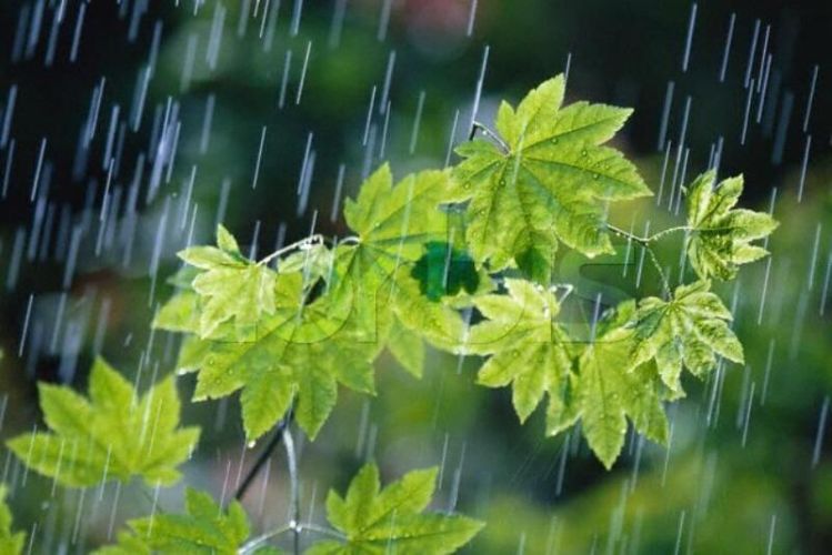 نیمه بهار؛ کاهش 90 درصدی بارش در تهران