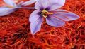 سه‌شنبه؛ 6 هزار کیلوگرم زعفران صادراتی در بورس عرضه می‌شود