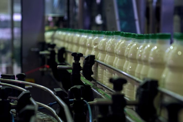 اما و اگرهای تشکیل خانه شیر/ حذف ارز ترجیحی از واردات، مطالبه تولیدکنندگان بود