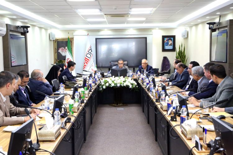 تاکید نماینده رئیس‌جمهور بر رفع موانع توسعه نیروگاه‌های خورشیدی در صنایع معدنی