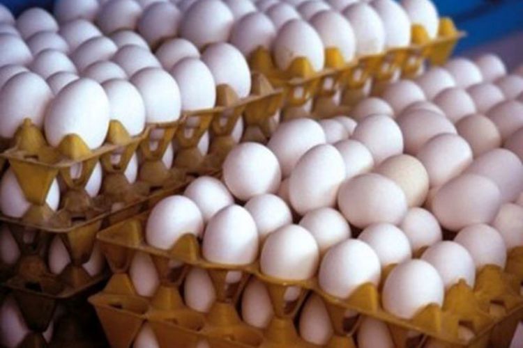 کاهش 30 درصدی قیمت تخم‌مرغ در مرغداری‌ها