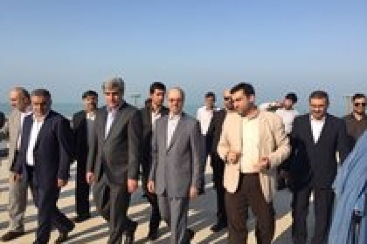 سرپرست وزارت نیرو وارد بوشهر شد