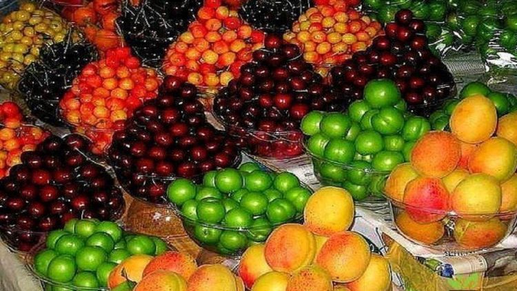 کاهش 20 درصدی قیمت میوه  در راه است