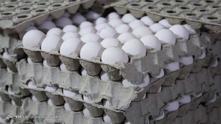  قیمت مصوب تخم‌مرغ در آستانه تغییر
