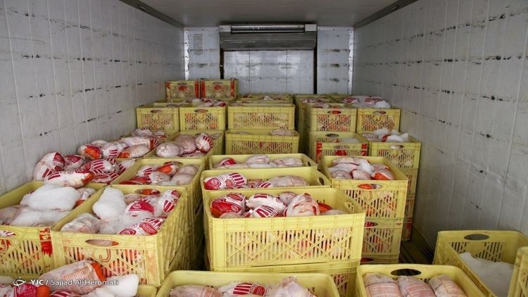بازار مرغ از مهر ماه روی موج کاهش قیمت