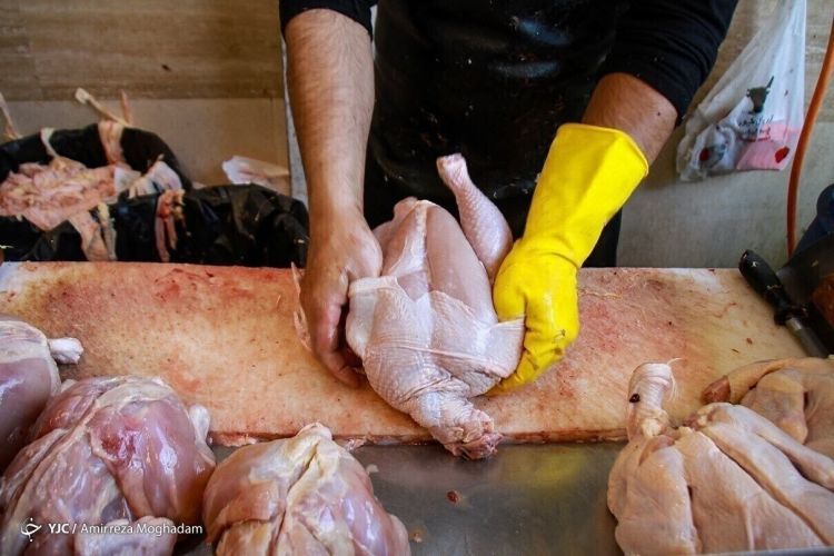 مرغ بالاتر از 135 هزار تومان؛ مصداق گرانفروشی