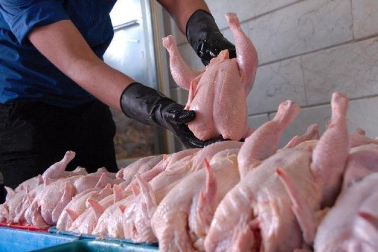5 هزار تن مرغ از محل ذخایر در حال توزیع در بازار است
