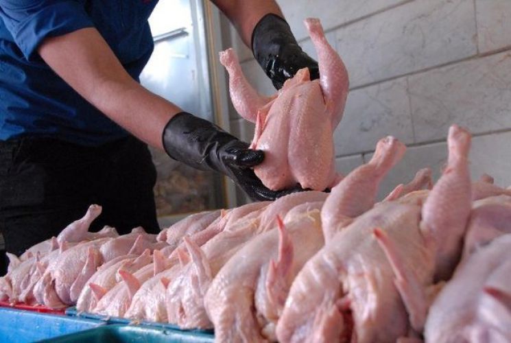 قیمت مرغ به 21 هزار تومان رسید/ پیش بینی افزایش نرخ در روزهای آتی