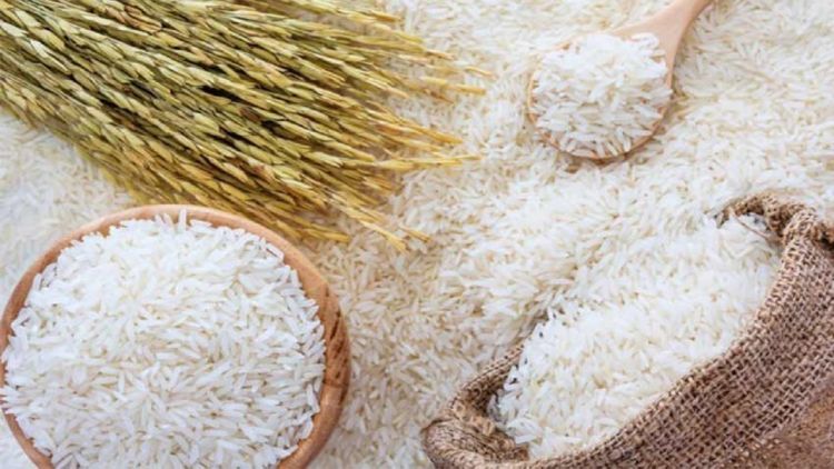 روایتی از تولید برنج؛ چشمانداز برداشت 2 میلیون و 300 هزار تن روایتی از تولید برنج؛ چشمانداز برداشت 2 میلیون و 300 هزار تن