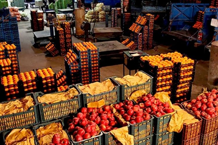 خبر خوش برای بازار میوه؛ تولید محصولات پاییزی مطلوب ارزیابی شد