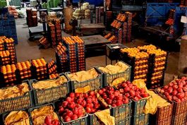 خبر خوش برای بازار میوه؛ تولید محصولات پاییزی مطلوب ارزیابی شد