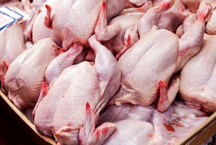واسطه‌ها و گرمای تابستان؛ دلیل پشت پرده گرانی مرغ؟