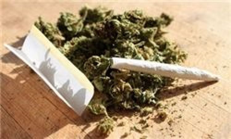 هشدار پلیس: مخدر گل، بلای جان نسل جوان شده است