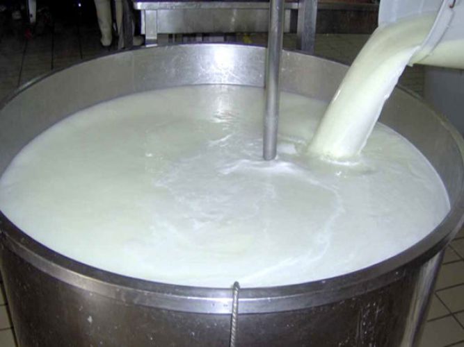 افزایش 55 برابری نتیجه سرکوب قیمت شیر خام/ سرانه مصرف کاهش یافت
