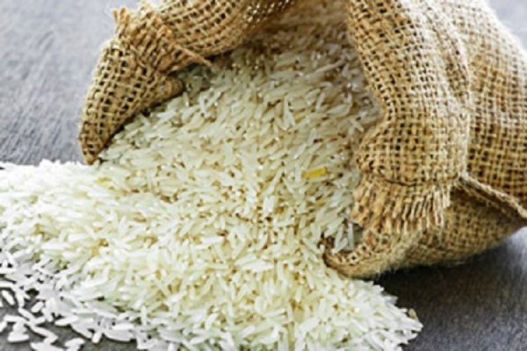  بررسی آفلاتوکسین موجود در برنج ایرانی