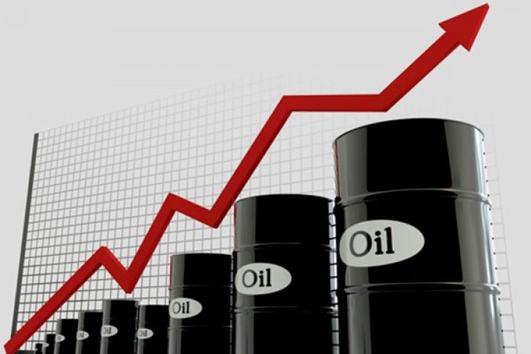 قیمت سبد نفتی اوپک از 72 دلار عبور کرد