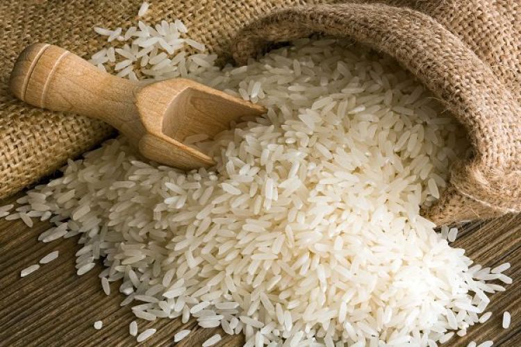  ارز دولتی واردات برنج حذف شد + عکس