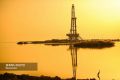 آزادگان؛ توسعه یک میدان مشترک در مقیاس ملی