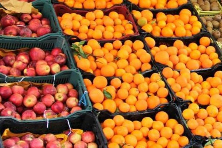 ذخیره 60 هزار تن سیب و پرتقال برای شب عید/ مشکلی در تنظیم بازار نداریم