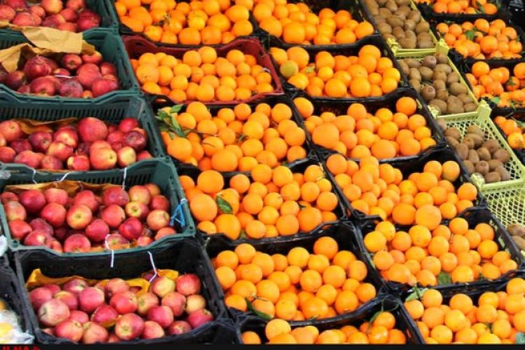 ممنوعیت صادرات سیب درختی و پرتقال لغو شد/ابلاغ تصمیم تازه به گمرک
