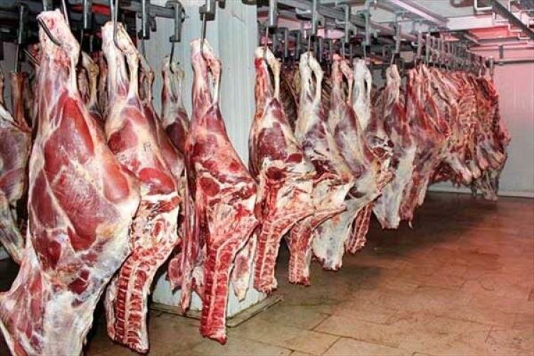  جزئیات گوشت های وارداتی دپو شده در بندر شهید رجایی
