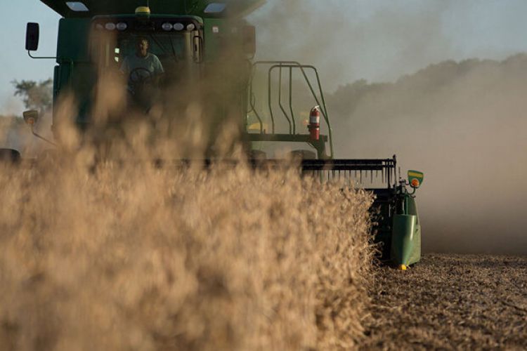 چین واردات برخی از محصولات کشاورزی آمریکا را متوقف کرد