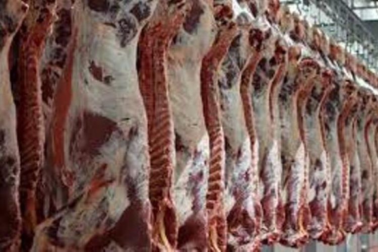 ارسال 50 تن گوشت قرمز و هزار تن ذرت و جو به سیستان و بلوچستان