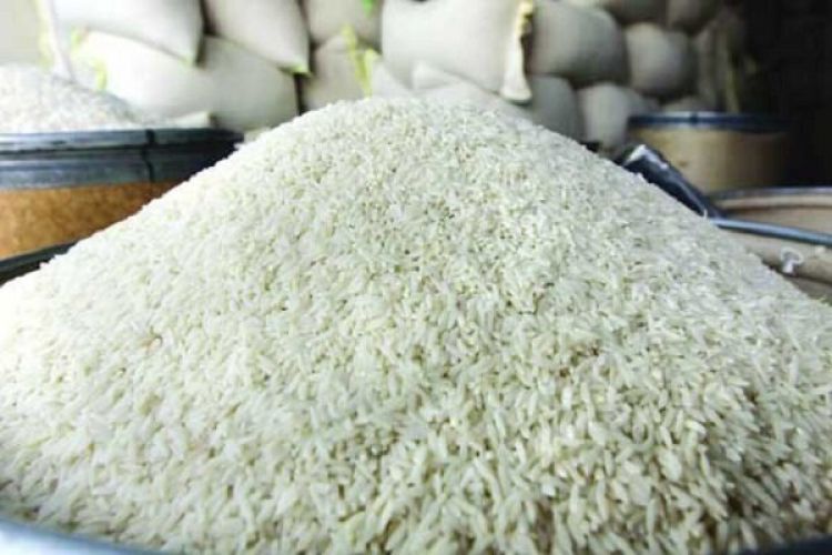   شرط غیرممکن دولت برای ارزانی برنج + آخرین قیمت