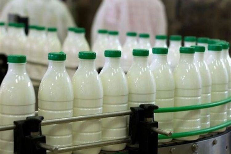 قیمت لبنیات رسما 28 درصد گران شد/نرخ شیر خام؛ 2900 تومان