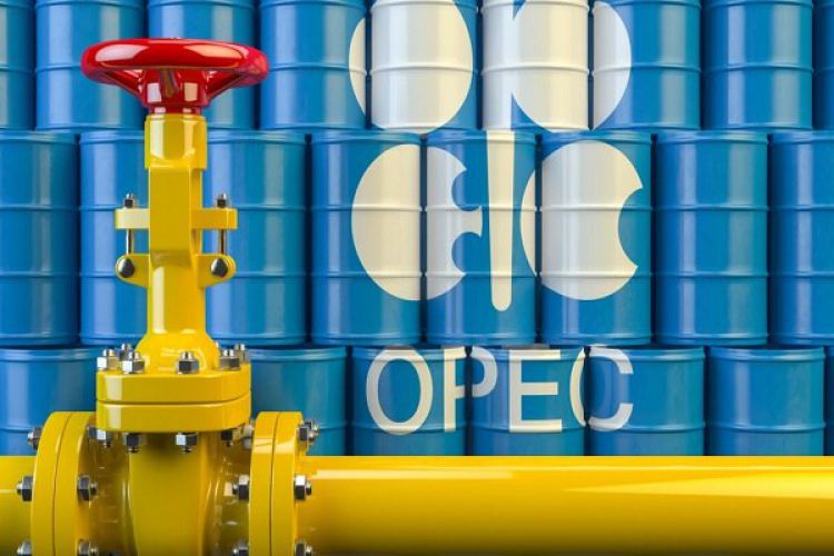 قیمت سبد نفتی اوپک از مرز 45 دلار گذشت
