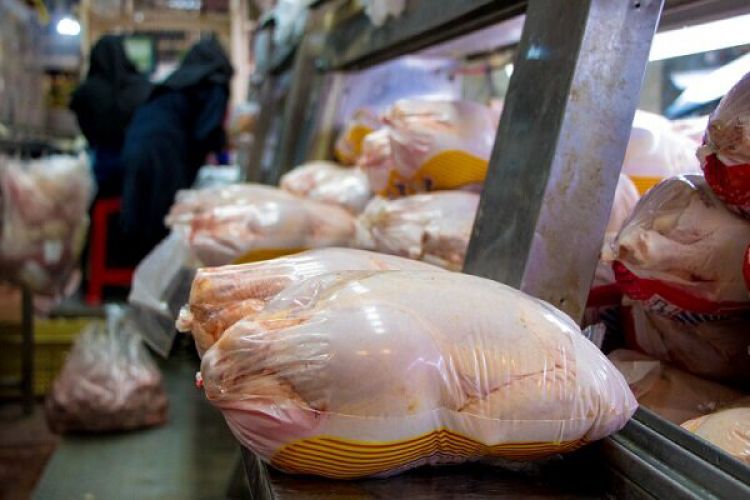 فروش مرغ بیش از 19 هزارتومان تخلف و گرانفروشی است