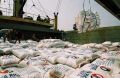 گمرک خواستار بازنگری در ممنوعیت فصلی واردات برنج شد/ واردات 69 درصد کاهش یافته است