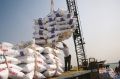 گمرک: قیمت برنج صعودی است؛ محموله‌های وارداتی را تعیین تکلیف کنید