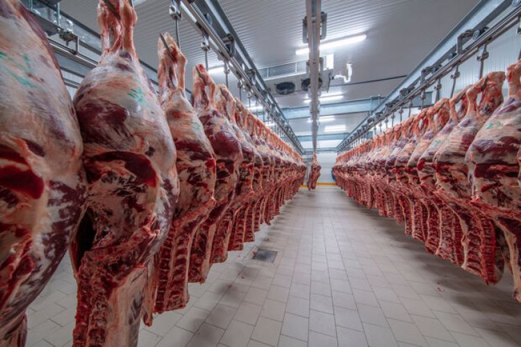 قیمت گوشت برای مصرف کننده نباید از 120 هزار تومان بیشتر باشد