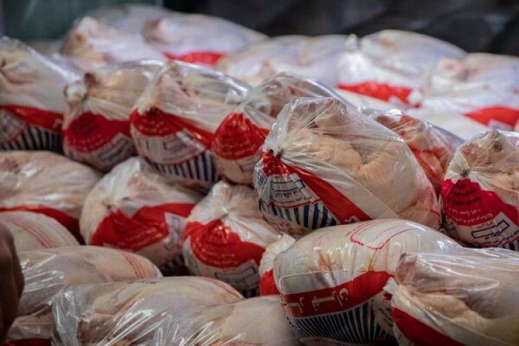 گوشت های منجمد وارداتی از پرداخت مالیات علی الحساب معاف شد